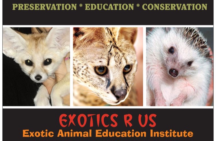 Exotics-R-Us - Exotic Animal Party | Exotic Animals for Birthday Parties &  Events | Exotic Animal Education Programs | Exotic Animal Shows | Let Us  Bring the Zoo to You - Missouri